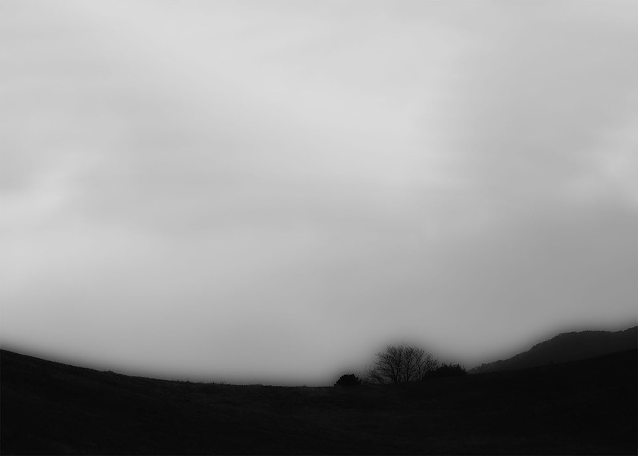 1c935a9b4c632bca06f9b50537ff008d_1760335162_4467.jpg