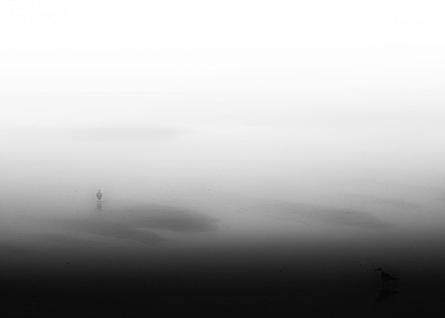 1c935a9b4c632bca06f9b50537ff008d_1760335162_4991.jpg