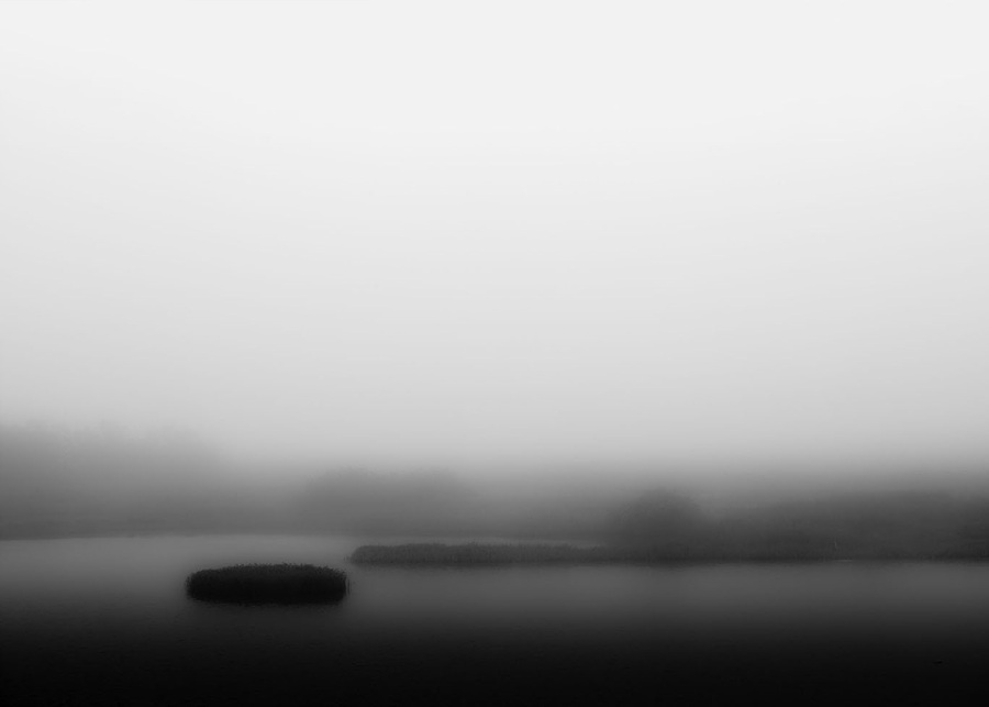 1c935a9b4c632bca06f9b50537ff008d_1760335162_5253.jpg