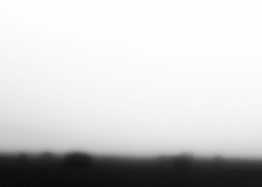 1c935a9b4c632bca06f9b50537ff008d_1760335162_5479.jpg